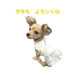 ikumi_20210112142912
