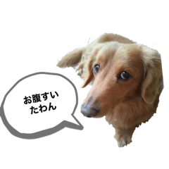 Riho_20210112154005