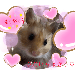 YUKINA_20210112171127