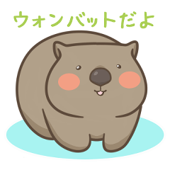 Mucchiri Wombats 3