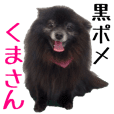 黒ポメくまさんpart3 Line スタンプ Line Store 黒ポメくまさんpart3 Line スタンプ Line Store