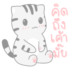 Kyouya is My Cat 8 (TH) pastel ver.