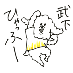 TAKESHITA toy poodle