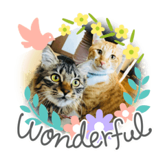 ayumi_20210112211841