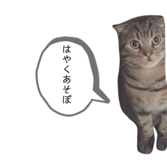 chihiro_20210112215529