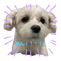 omochi_20210112220900