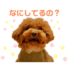 Haruna_20210112223137