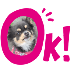 haruna_20210112194428