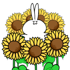 Suyanemi rabbit in SUMMER