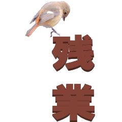 two Chinese characters From Birds-BIG