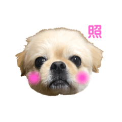 ikumi_20210113010350