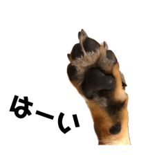 kazuki_20210113105832