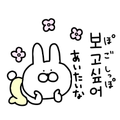 Korean-speaking rabbit