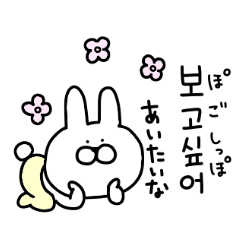 高速で返事するウサギの韓国語