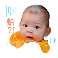 小崇