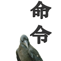 two Chinese characters From Crow-BIG