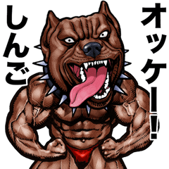 Shingo dedicated Muscle macho animal