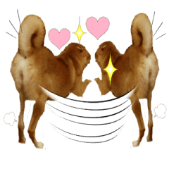 かわいい雑種犬 茶々 のご挨拶3 Line スタンプ Line Store かわいい雑種犬 茶々 のご挨拶3 Line スタンプ Line Store