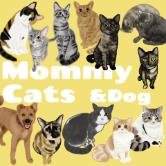 Mommy cats and a dog