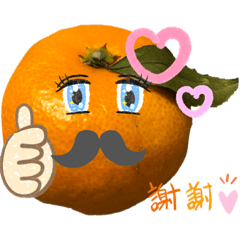 みかんちゃんの可愛い