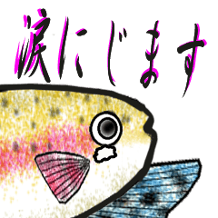 Rainbow trout Sticker 2