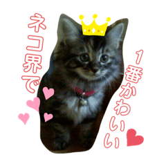 kaho_20210113165153