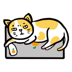A girl & Orange cat's daily life