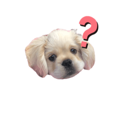 hikari_20210113183235