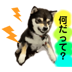 ponzu_20210114024138
