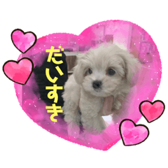 yukari_20210113224243