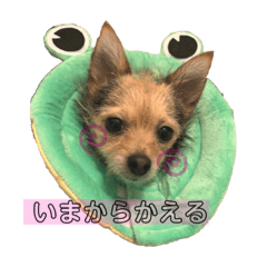 yuka_20210114001227