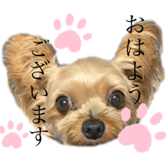puri puri sticker