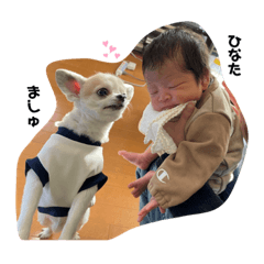 yuka_20210114113006