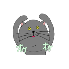 HitoMeow_20210114141359