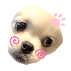 aoi_20210114144922
