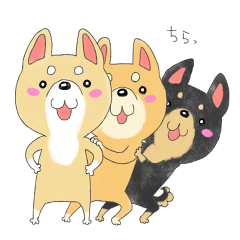 we are dogs!!