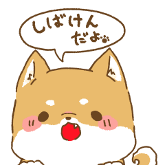 cute shiba dog Sticker