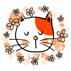 Fall in love with Cat