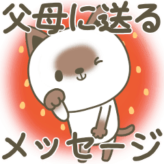 実家の父母に送るシャム猫スタンプ Line スタンプ Line Store 実家の父母に送るシャム猫スタンプ Line スタンプ Line Store