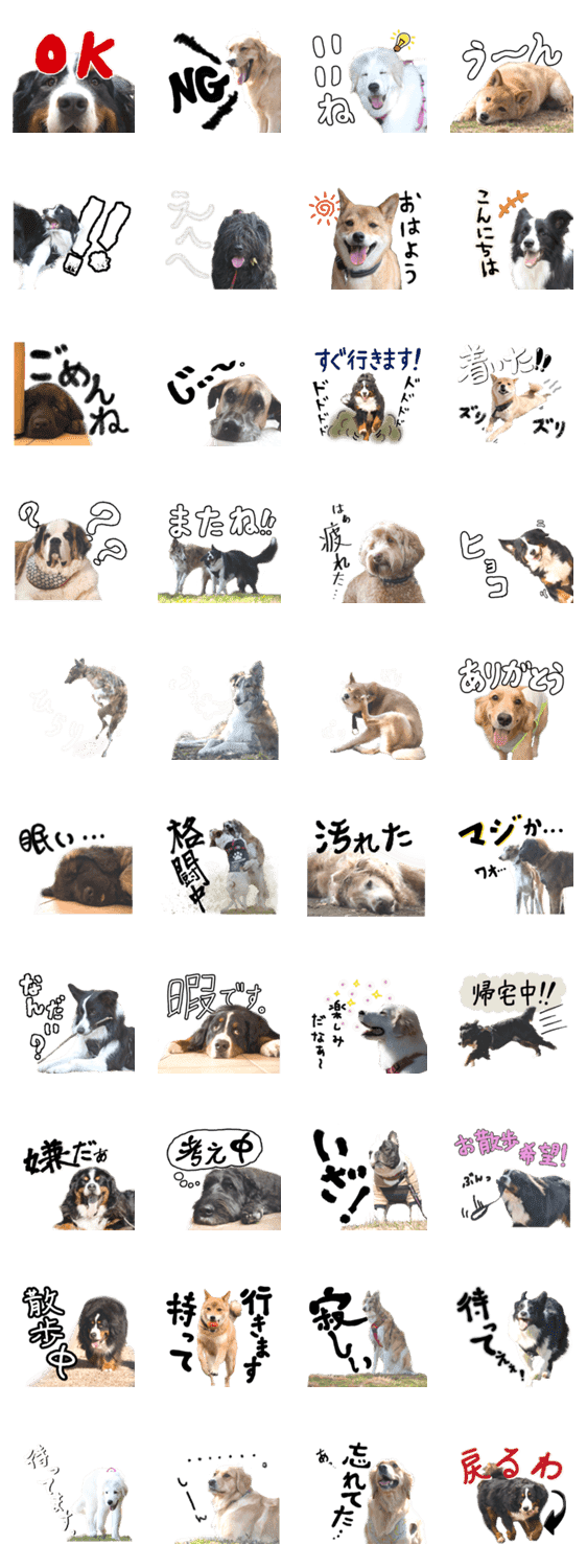 ご近所の犬スタンプ Lineクリエイターズスタンプ Stamplist