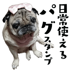 Pug sticker.Sutesan From JAPAN.