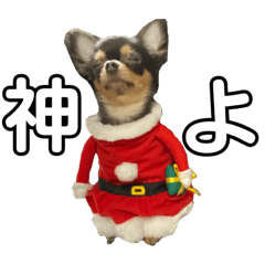 Sally_20210114170319