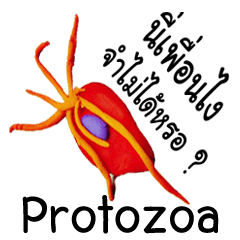 Zoo of Protozoa