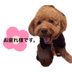 nanami_202101141632431