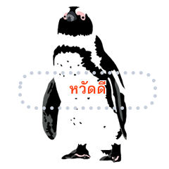 Simple penguins Thai
