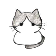 Black&White Cat