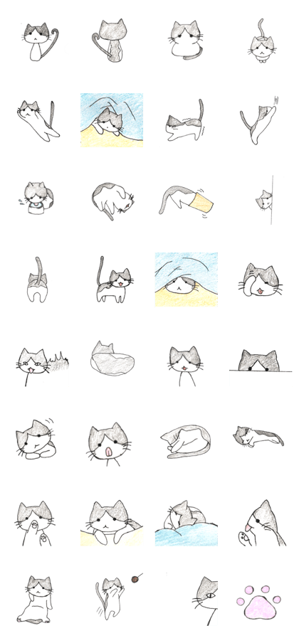 Black&White Cat