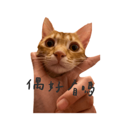 咪幾の後宮生活