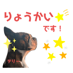 MIZUKI_20210114231857