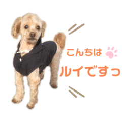 yuka_20210115000645